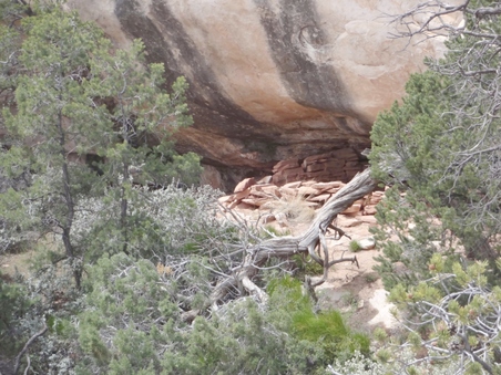 Enlarge photo 119