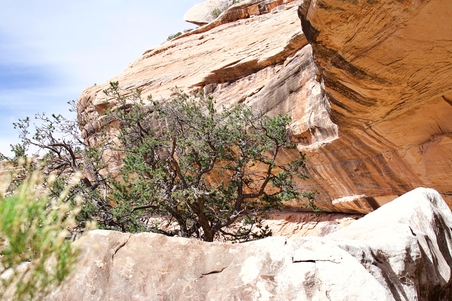 Enlarge photo 107