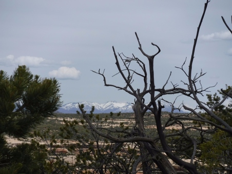 Enlarge photo 125