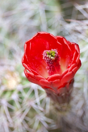 Enlarge photo 133