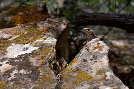 Enlarge photo 136
