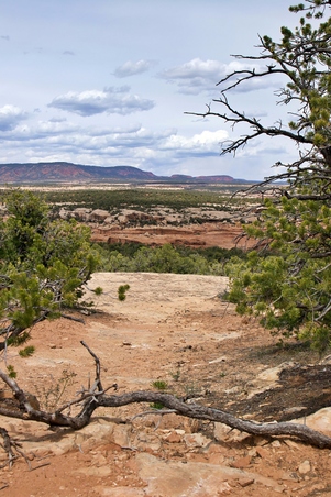 Enlarge photo 140