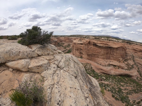 Enlarge photo 142