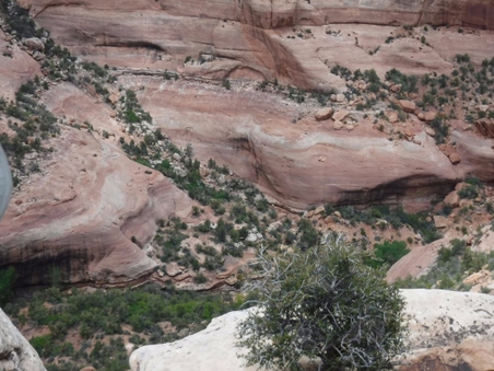 Enlarge photo 154