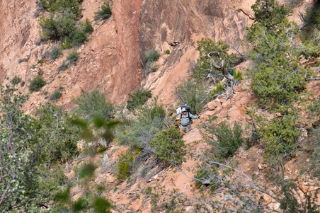 Enlarge photo 188