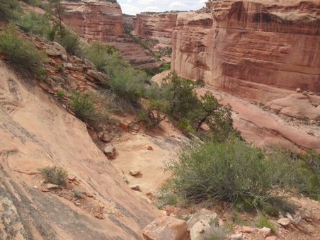 Enlarge photo 192