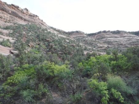 Enlarge photo 196