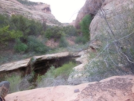 Enlarge photo 198