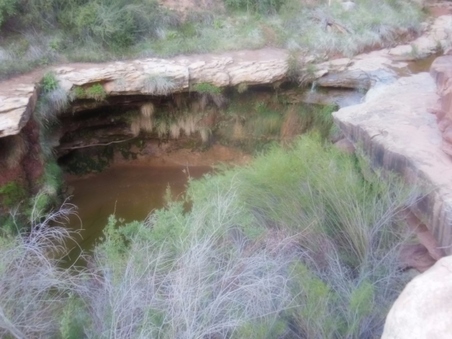 Enlarge photo 199