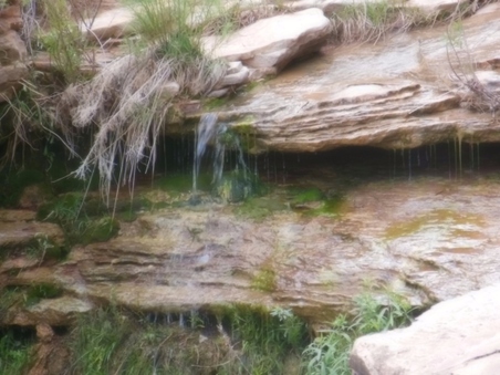 Enlarge photo 201