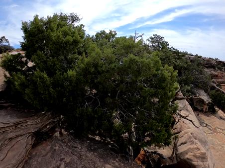 Enlarge MPEG4 26