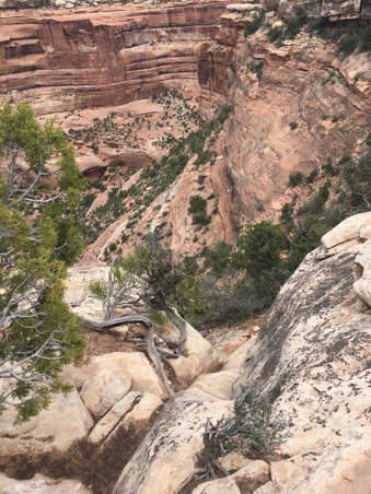 Enlarge photo 152