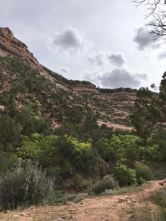 Enlarge photo 193