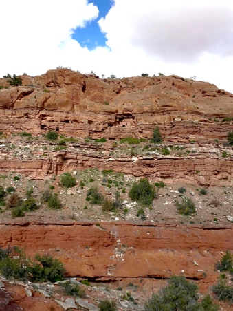 Enlarge photo 5