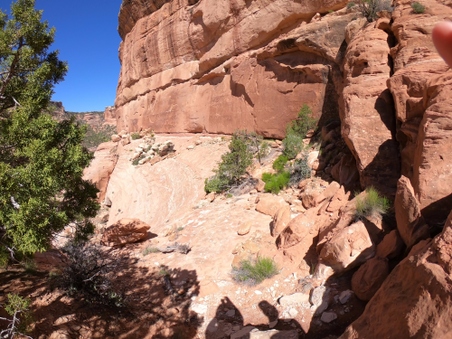Enlarge photo 2