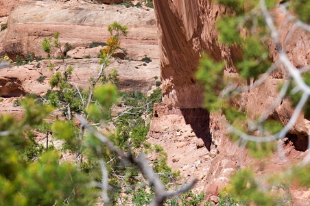Enlarge photo 14