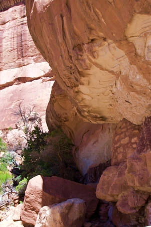 Enlarge photo 28