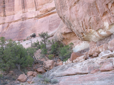 Enlarge photo 27