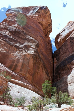 Enlarge photo 10