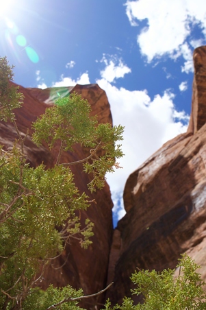 Enlarge photo 11