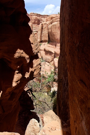 Enlarge photo 13
