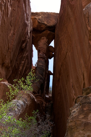 Enlarge photo 17