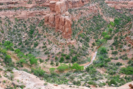 Enlarge photo 21