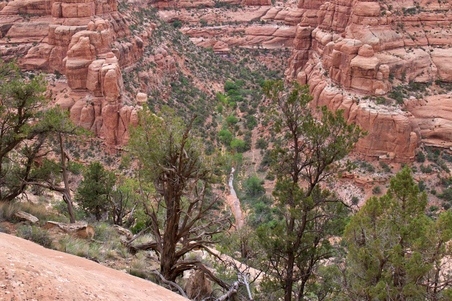 Enlarge photo 22
