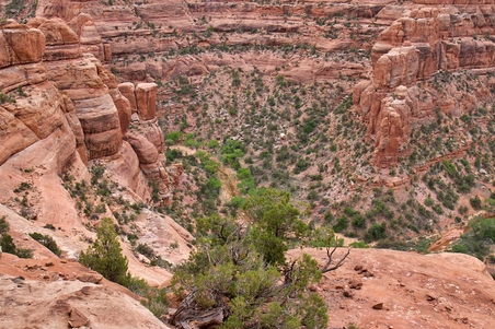 Enlarge photo 20