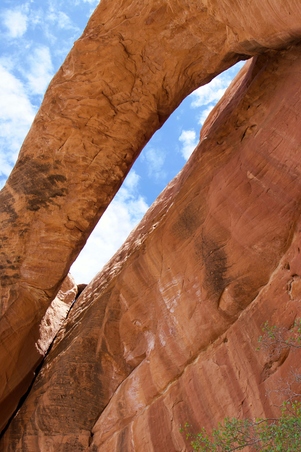 Enlarge photo 8