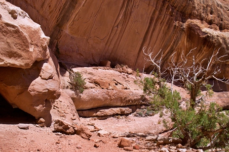Enlarge photo 7