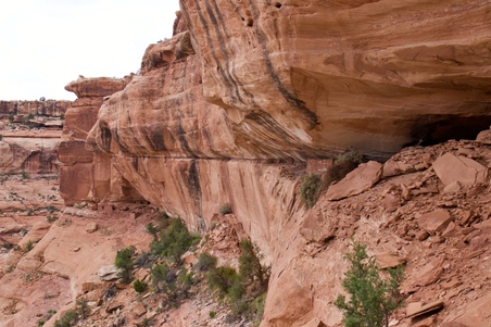 Enlarge photo 22