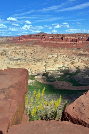 Enlarge photo 9