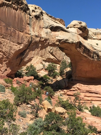 Enlarge photo 22