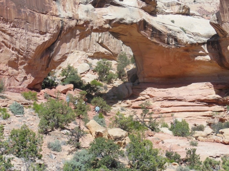 Enlarge photo 23