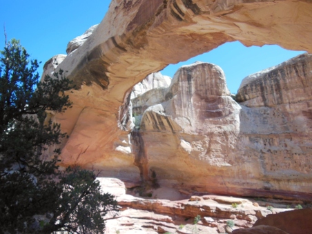 Enlarge photo 27
