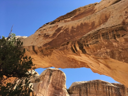 Enlarge photo 29