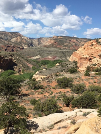 Enlarge photo 32