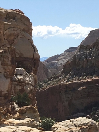 Enlarge photo 37