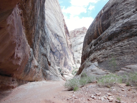 Enlarge photo 43