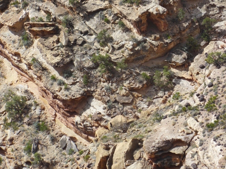 Enlarge photo 62