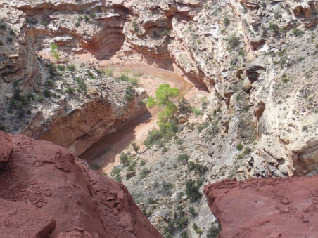Enlarge photo 63