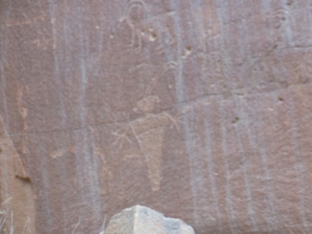 Enlarge photo 73