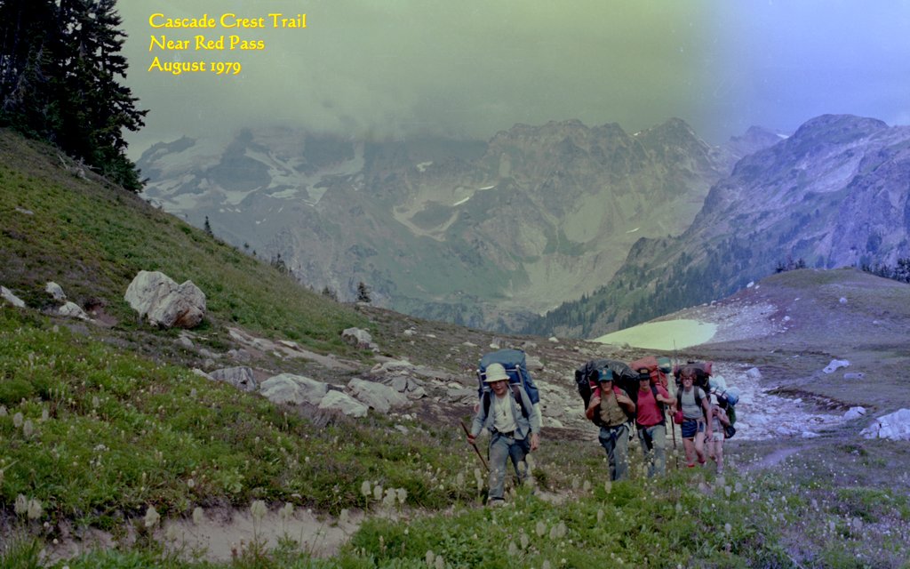View Original Image