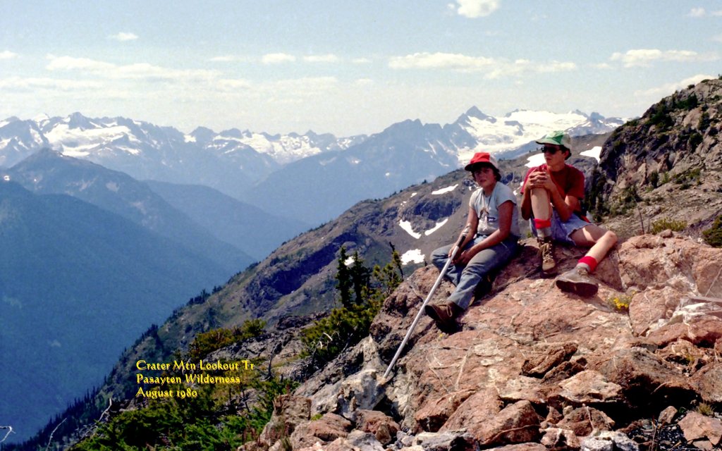 View Original Image