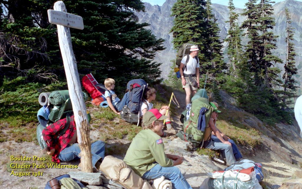 View Original Image
