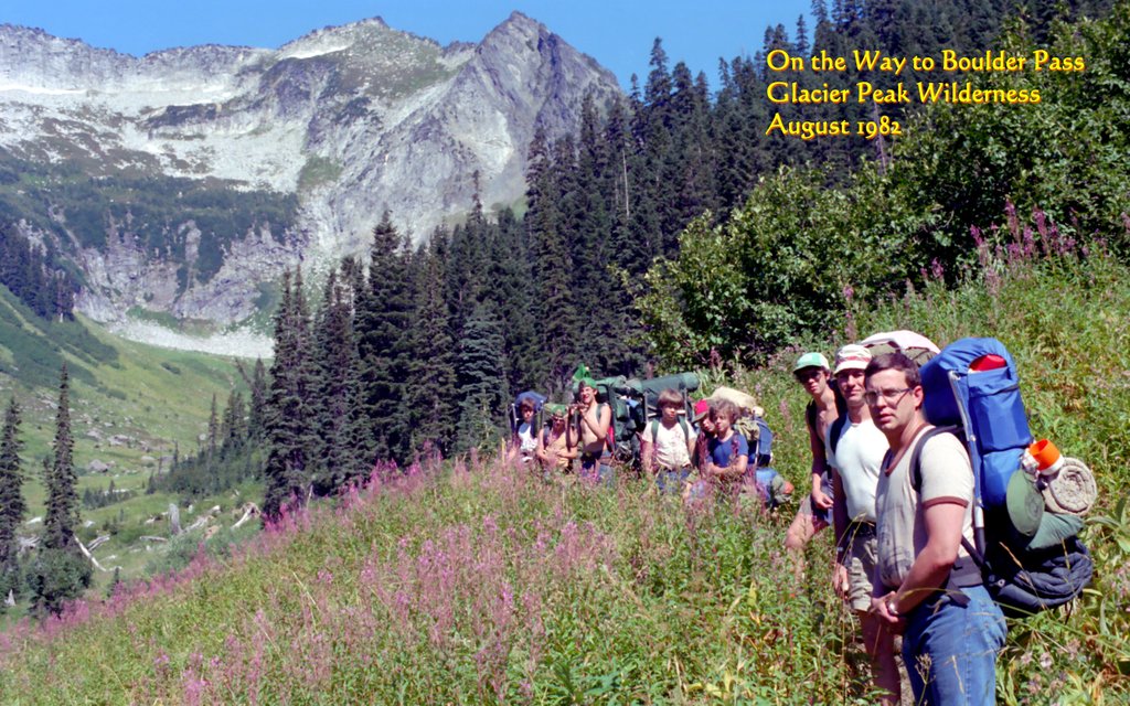 View Original Image