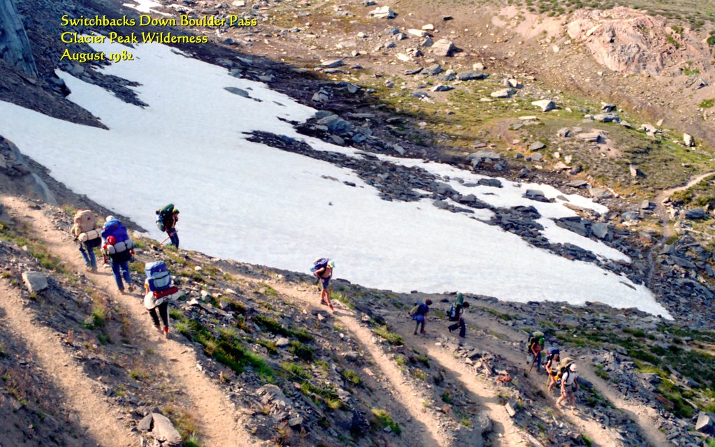 View Original Image