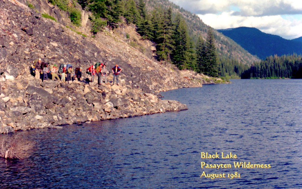 View Original Image