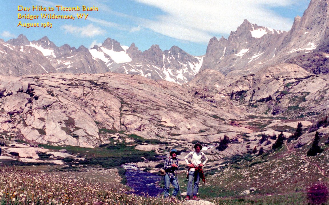 View Original Image